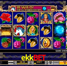 ekkbet Belo Horizonte - Jackpots