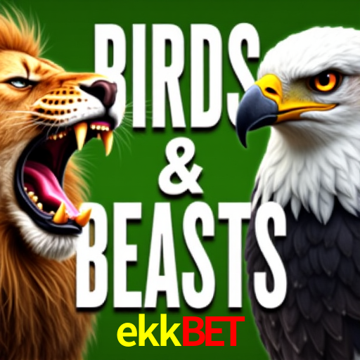 Apostas Esportivas na ekkbet: Um Guia Completo
